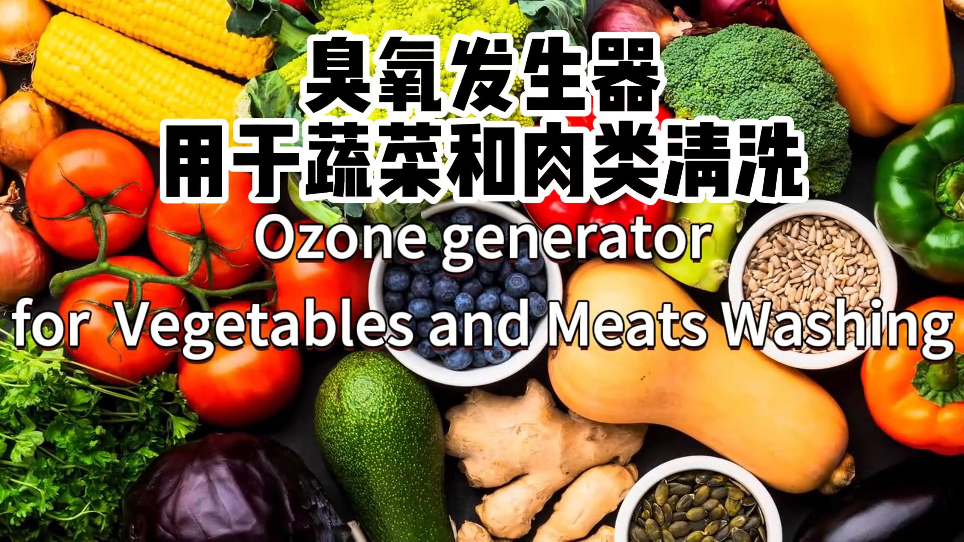 臭氧發(fā)生器在食品加工和儲(chǔ)存過(guò)程中用于蔬菜、水果和肉類的消毒